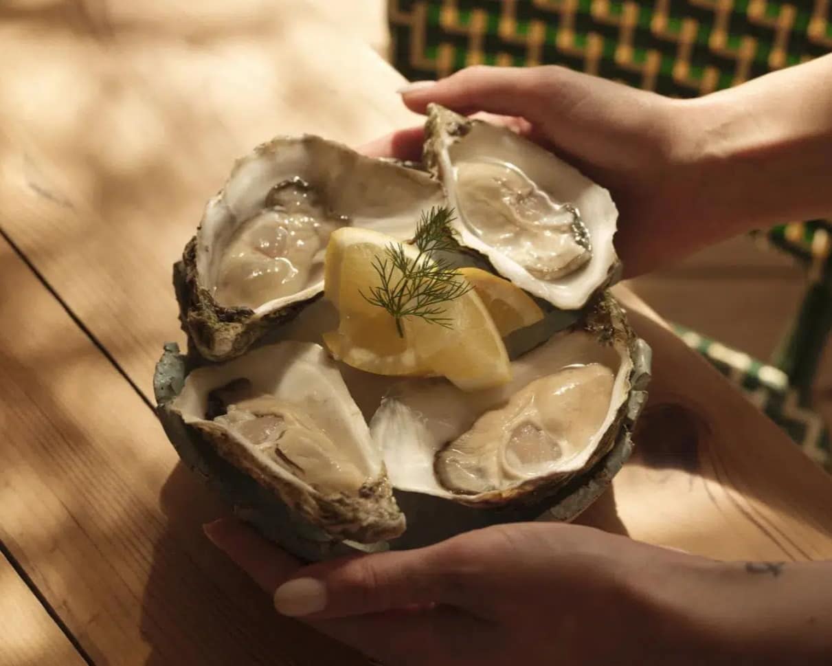 Ibiza A person holds a bowl with four fresh oysters on the half shell, garnished with lemon wedges and a sprig of dill, ready to be enjoyed—just like you'd find featured on our Home Page. David Pearson Travel